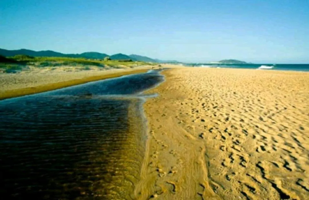 Linda Cobertura Praia Do Campeche Florianopolis Brazil